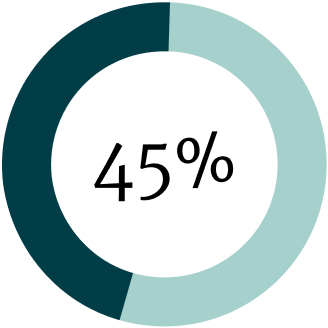 Forty-five Percent Doughnut Chart