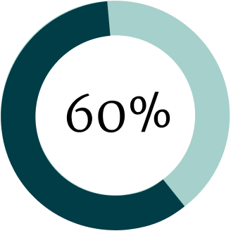 Sixty Percent Doughnut Chart